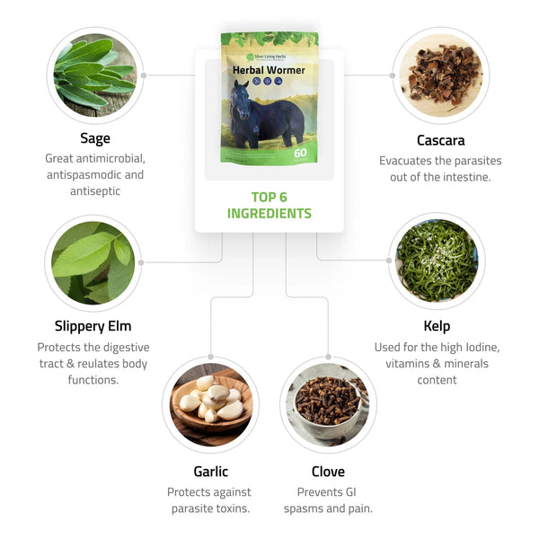 Herbal Dewormer