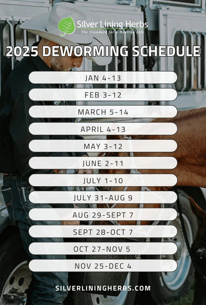 Herbal Dewormer