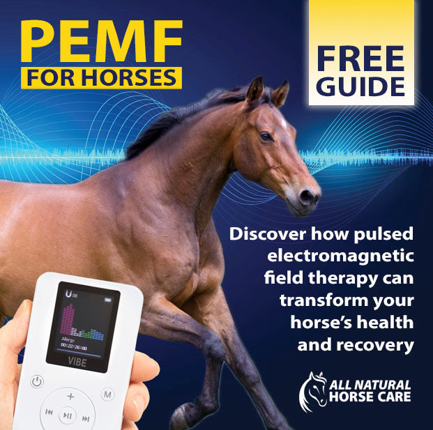 PEMF for Horses FREE Guide